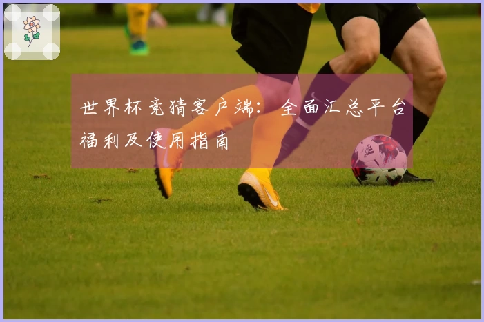 世界杯竞猜客户端：全面汇总平台福利及使用指南
