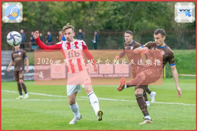 2026世界杯买球平台推荐及选购指南