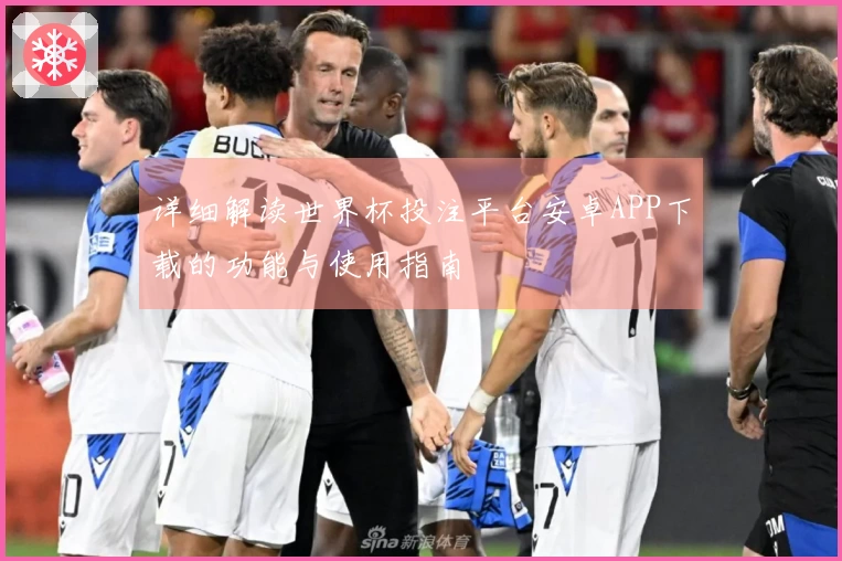 详细解读世界杯投注平台安卓APP下载的功能与使用指南