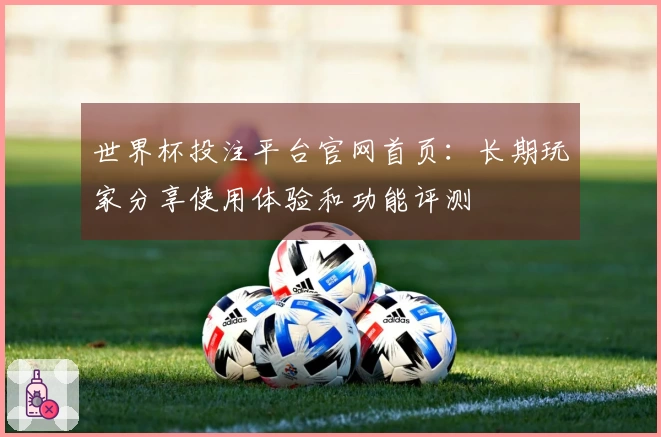 世界杯投注平台官网首页:长期玩家分享使用体验和功能评测