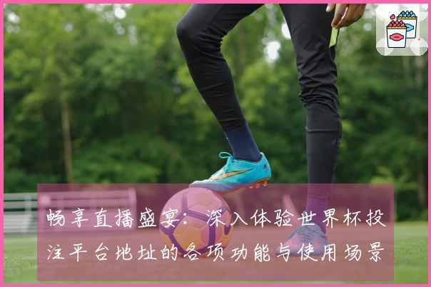 畅享直播盛宴：深入体验世界杯投注平台地址的各项功能与使用场景