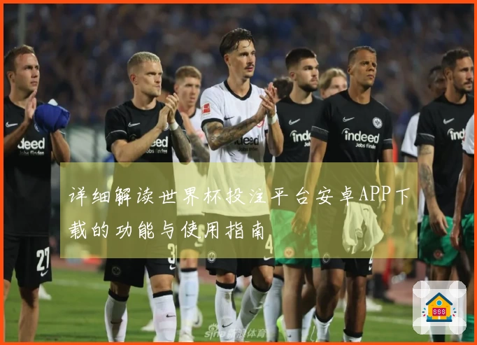 详细解读世界杯投注平台安卓APP下载的功能与使用指南
