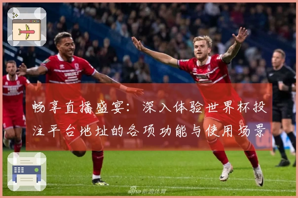 畅享直播盛宴：深入体验世界杯投注平台地址的各项功能与使用场景